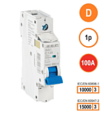 SEP INS1 inst.aut 1p - D - 100A - 10/15kA