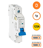SEP INS1 inst.aut 1p - D - 125A - 10/15kA