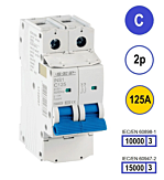SEP INS1 inst.aut 2p - C - 125A - 10/15kA