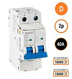 SEP INS1 inst.aut 2p - D - 40A - 10/15kA