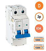 SEP INS1 inst.aut 2p - D - 63A - 10/15kA