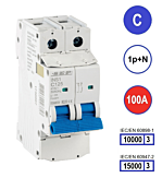 SEP INS1 inst.aut 1p+N - C - 100A - 10/15kA