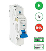 SEP INS1 inst.aut 1p - B - 100A - 10/15kA