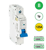 SEP INS1 inst.aut 1p - B - 125A - 10/15kA