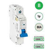 SEP INS1 inst.aut 1p - B - 80A - 10/15kA