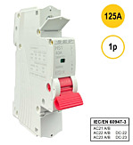 SEP HS1 Hoofdschakelaar 1p 125A (415V)